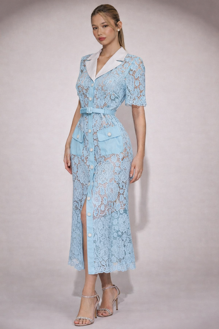 Sofi French Lace dress